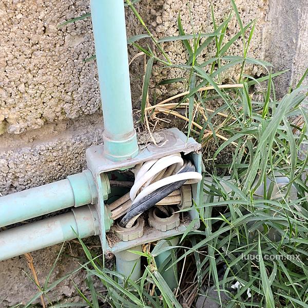 Registro eléctrico roto y abierto entre el pasto con cables expuestos
